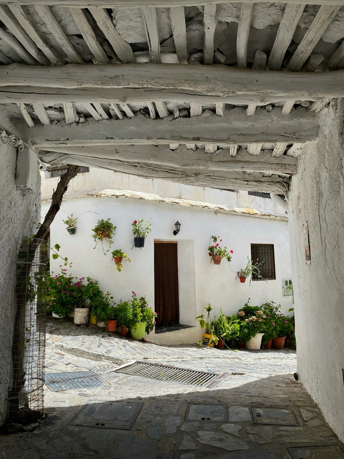 Callejón típico de un pueblo alpujarreño con flores