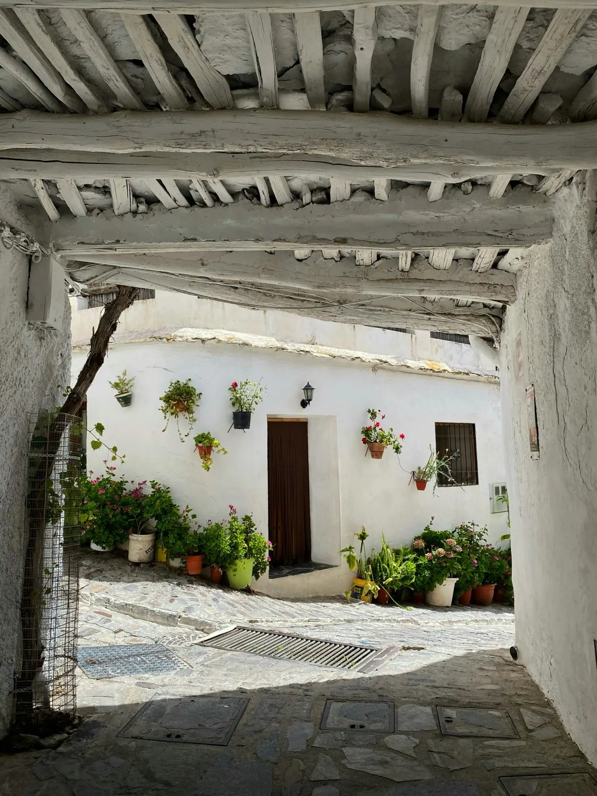 Callejón típico de un pueblo alpujarreño con flores